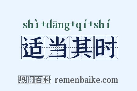 适当其时是什么意思的图片